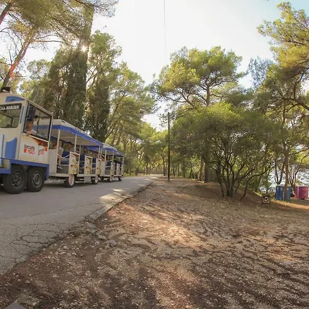 Pinus Apartamento